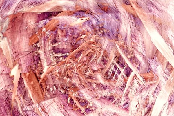 Abstract representation of a flexible, flowing line in amber color.